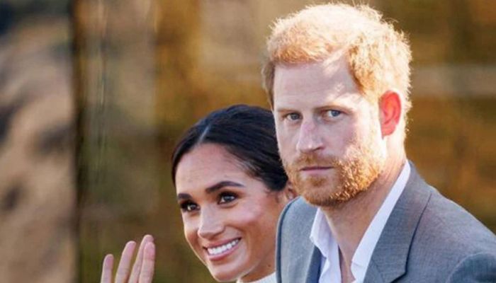 After Spotify Mishap, Harry and Meghan Canceled Party