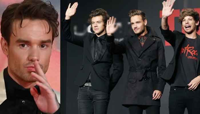 Liam Payne Apologizes to Harry Styles, Zayn Malik, and Others for Being ‘Wrong’