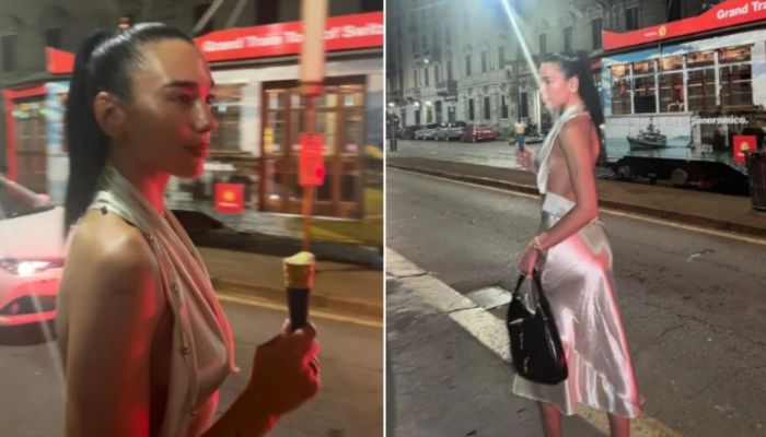 Mermaid Barbie Backless Silk Dress Heats Up Dua Lipa