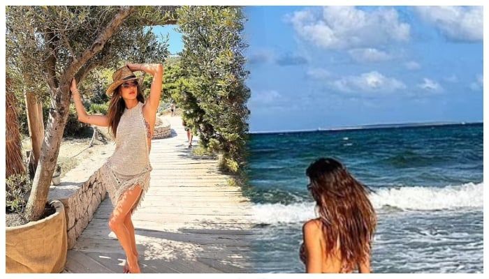 Alessandra Ambrosio Flaunts Her Swimwear Physique on the Beach