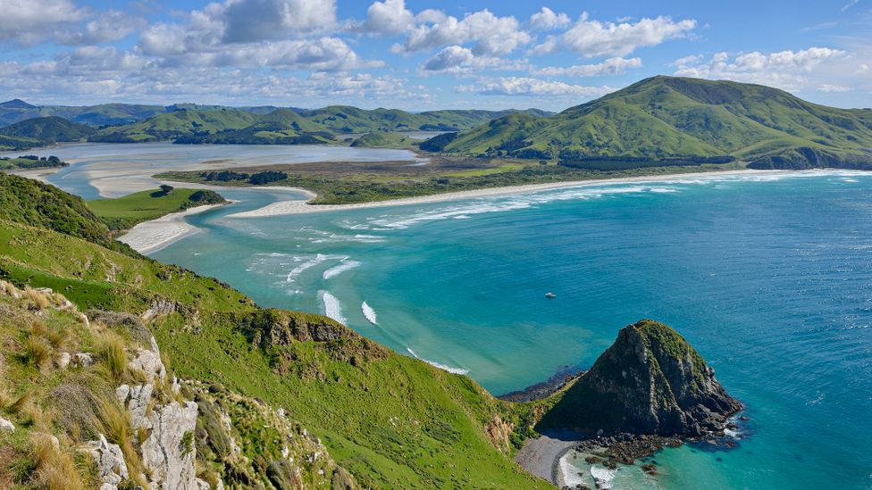 Six of the best ways to immerse yourself in nature around Dunedin