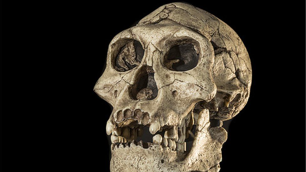 Big freeze drove early humans out of Europe