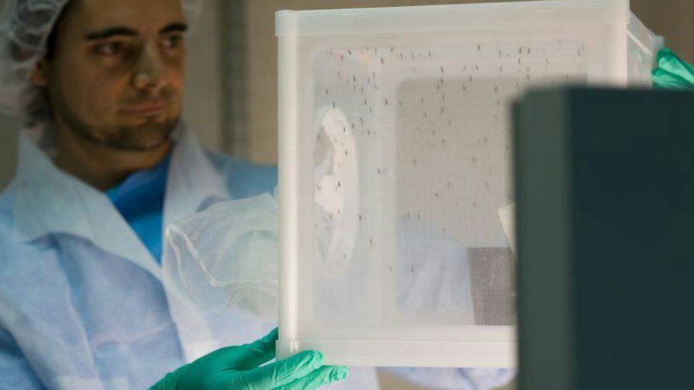 Chance discovery helps fight against malaria