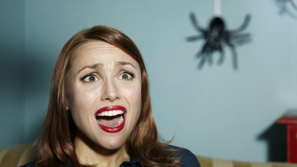 Do people really swallow spiders in their sleep?