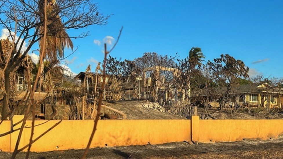 Maui fire: ‘The other side of that wall are corpses’