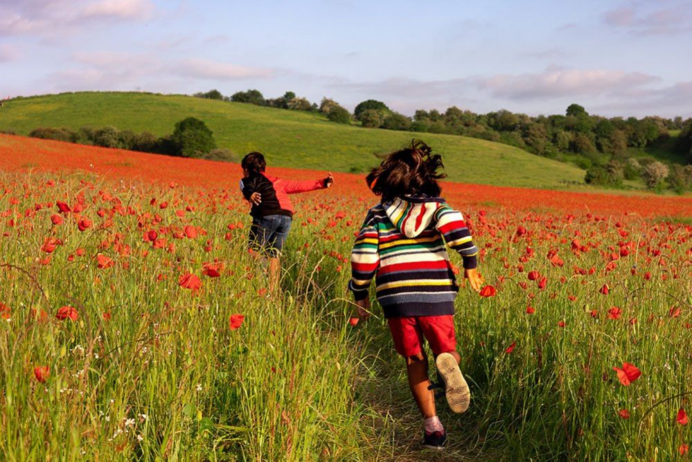 Your pictures on the theme of ‘summer walks’