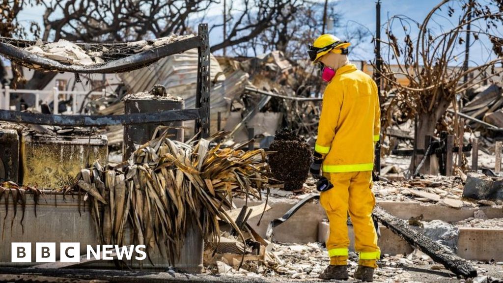 Hawaii wildfires: Maui emergency chief quits after sirens criticism