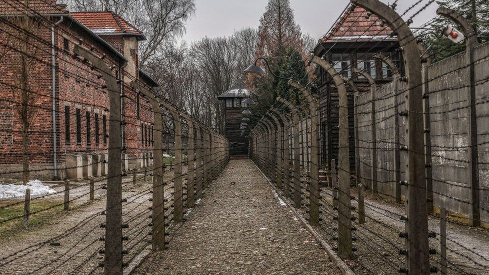 X removes Holocaust denying post after Auschwitz Museum criticism