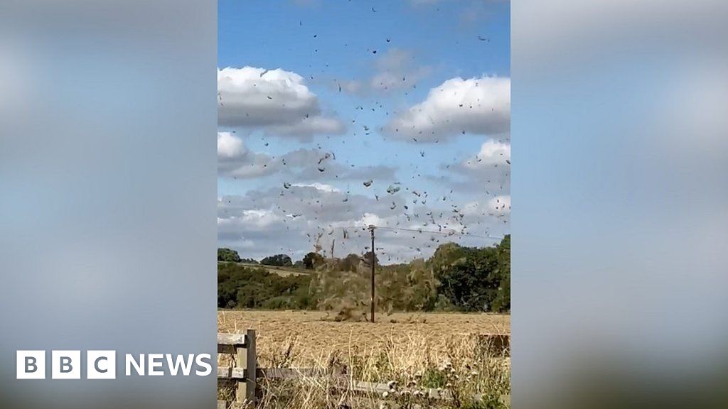 Watch: ‘Haynado’ in field captured by farm worker