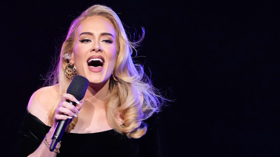 Adele defends fan who was told to sit down at Las Vegas concert