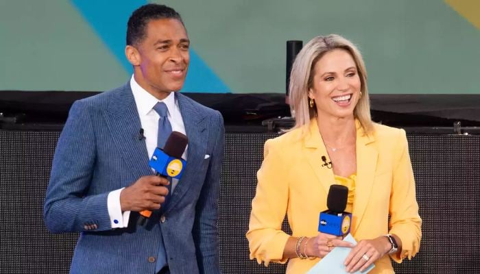 Amy Robach and TJ Holmes Both Return to Instagram with New, Similar Posts