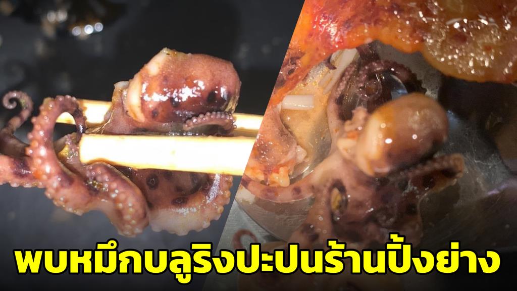 อันตราย! หนุ่มเผยภาพพบหมึกบลูริงปะปนในอาหารร้านปิ้งย่าง ชาวเน็ตวอนเปิดชื่อร้าน