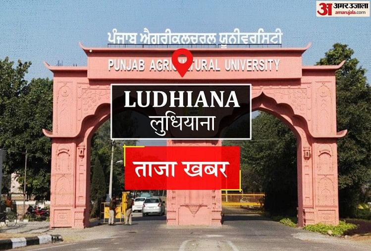 Ludhiana News: ऑटो में मिला युवक का शव, हत्या की आशंका