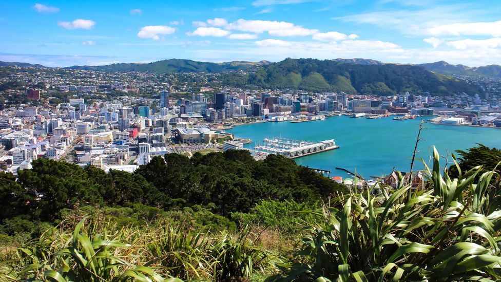 A bar crawl around Wellington with Fat Freddy’s Drop