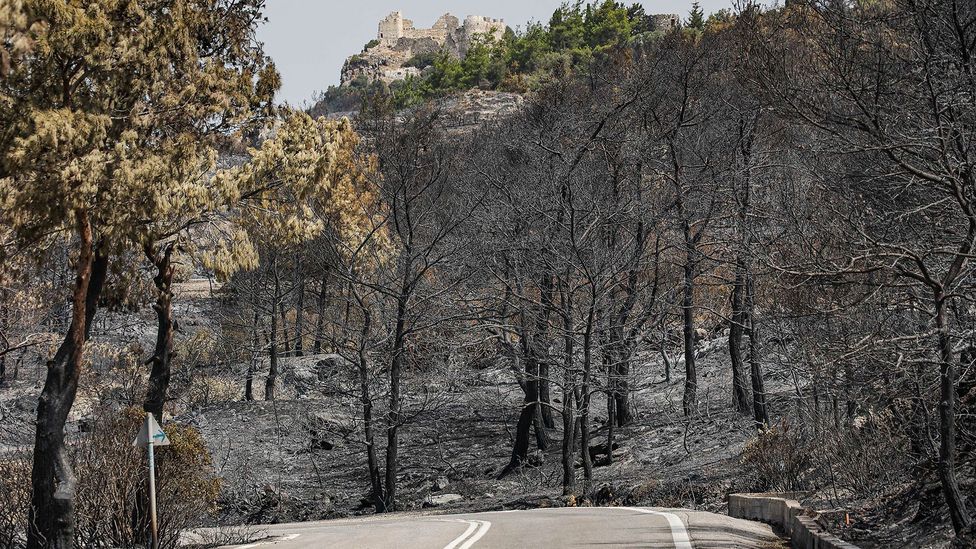 Wildfires: The changing face of the Mediterranean landscape