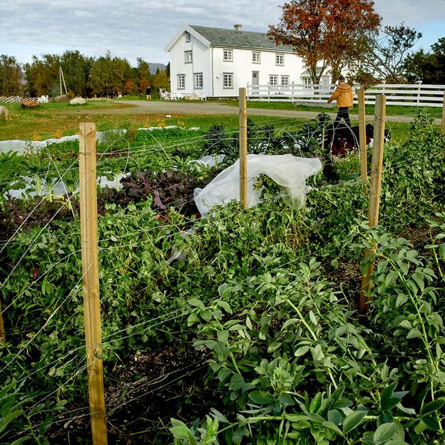 Kvitnes Gård: A 23-course meal in a remote fjord