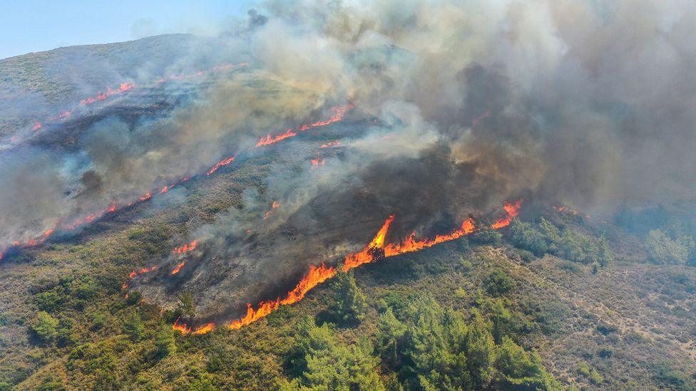 The weird wind that can supercharge heatwaves and wildfire