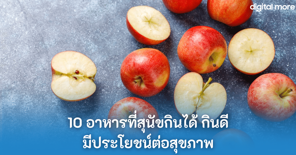 10 อาหารที่สุนัขกินได้ กินดี มีประโยชน์ต่อสุขภาพ