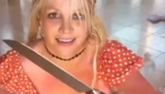 Britney Spears Allegedly Gets a Visit From Police After Knife Video