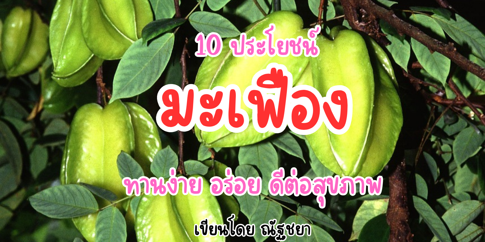 10 ประโยชน์มะเฟืองต่อสุขภาพ มะเฟืองอร่อยมีประโยชน์