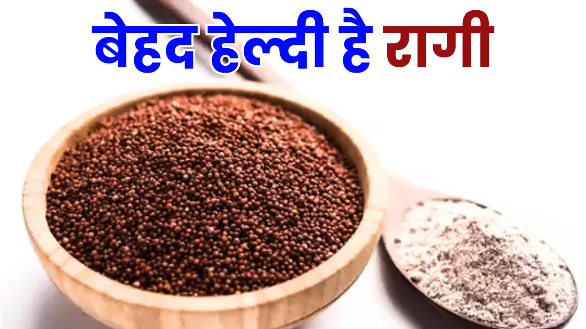 Desi Super Food: कमाल का है ये देसी ‘सुपरफूड’, अच्छी सेहत के लिए वरदान से कम नहीं, खेती भी आसान, कम लागत में बंपर पैदावार