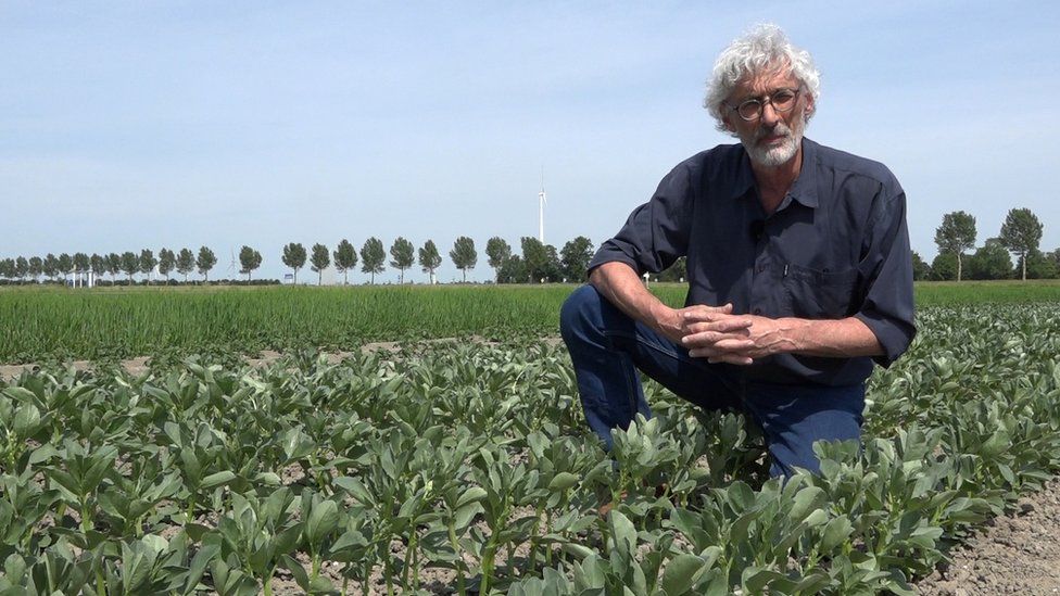 New tech boosts Dutch drive for sustainable farming