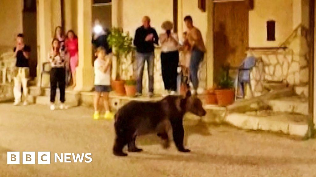 Mother bear seen with cubs days before being shot