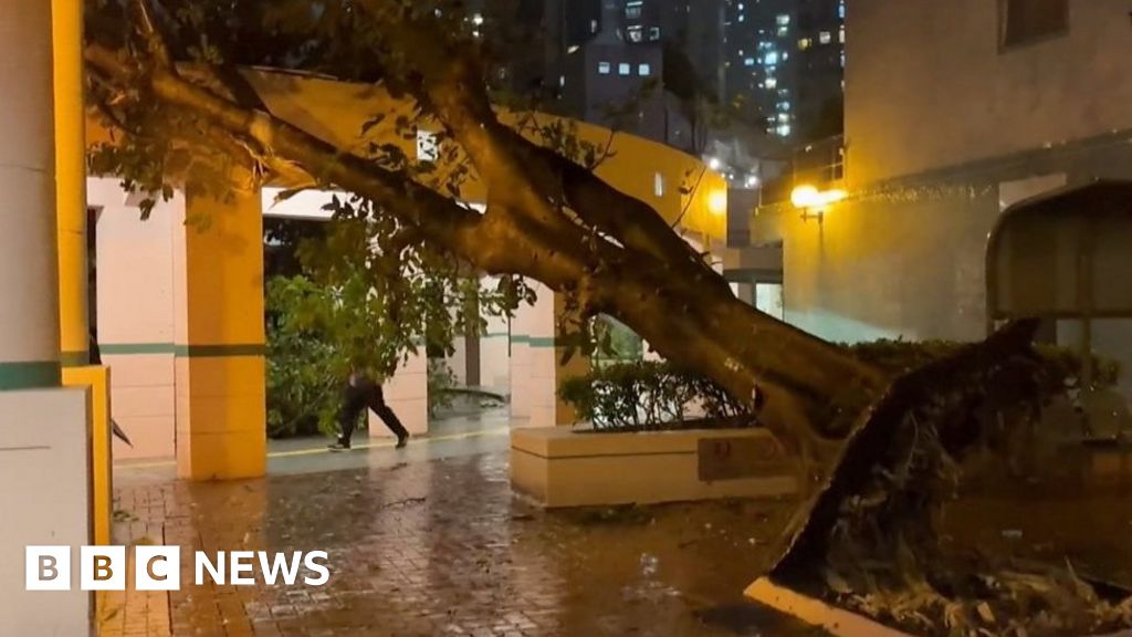 Watch: Typhoon Saola ripping up trees in Hong Kong