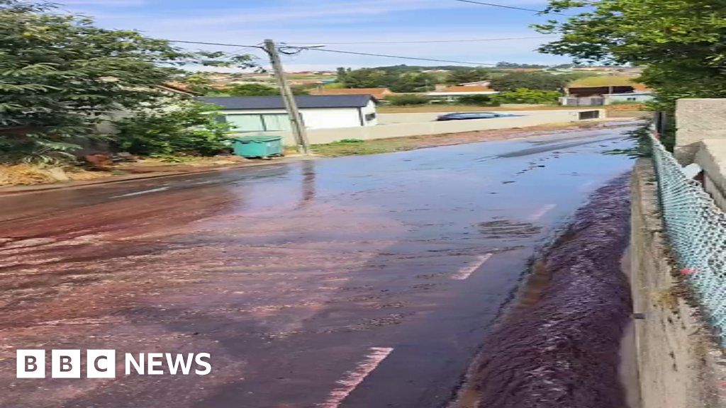 Watch: River of red wine flows through Portuguese village