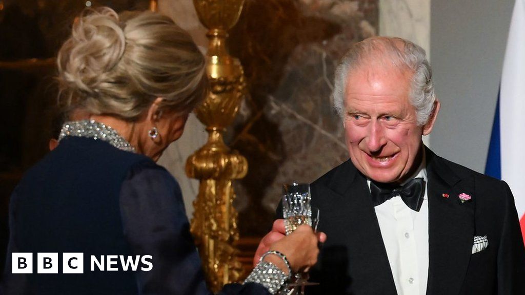 King Charles speaks French at star-studded banquet