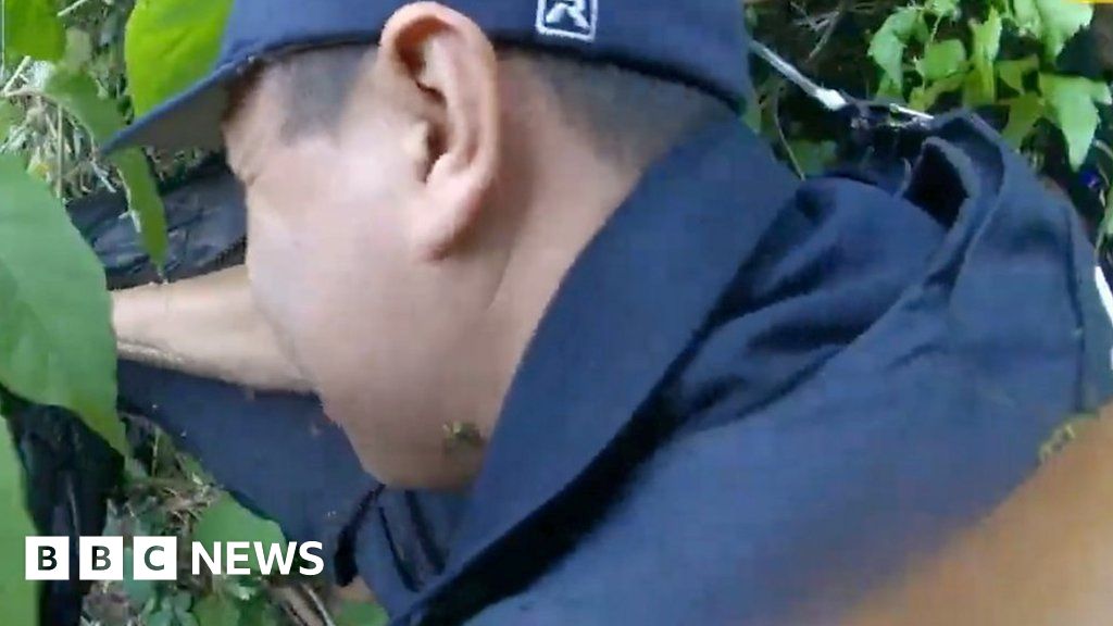 Police swarmed by bees during arrest