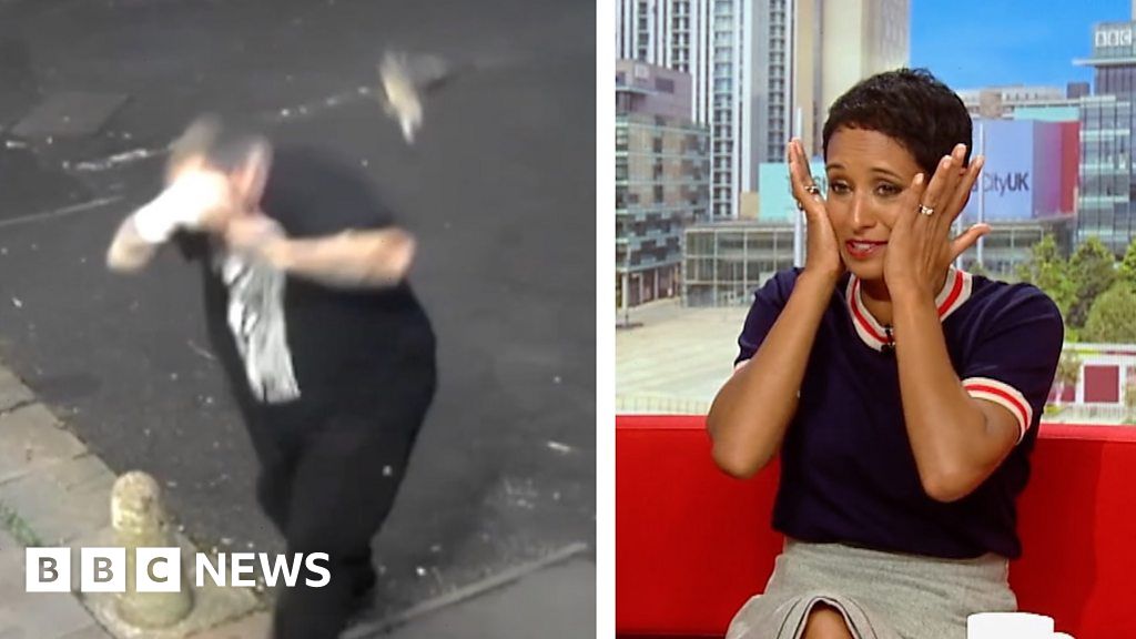 Giggles on the sofa! Pigeon CCTV has BBC hosts in tears