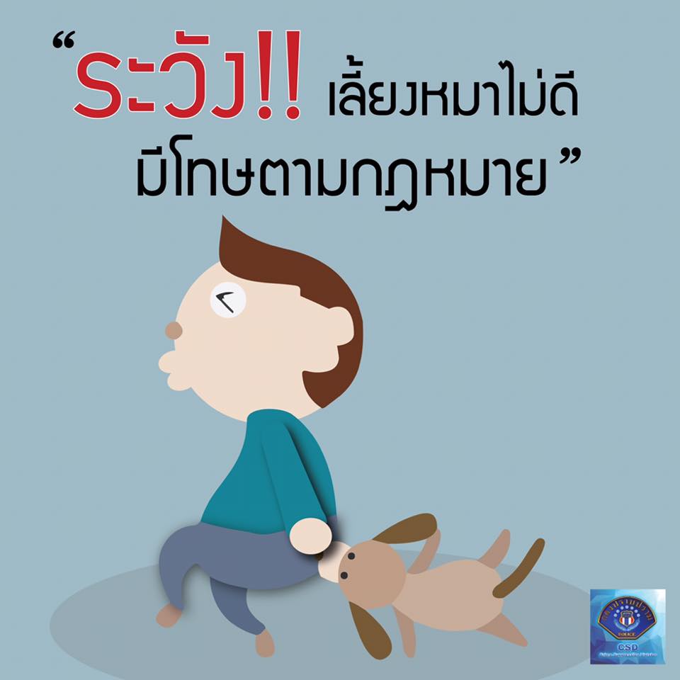 ระวังเลี้ยงหมาไม่ดี มีโทษตามกฎหมาย