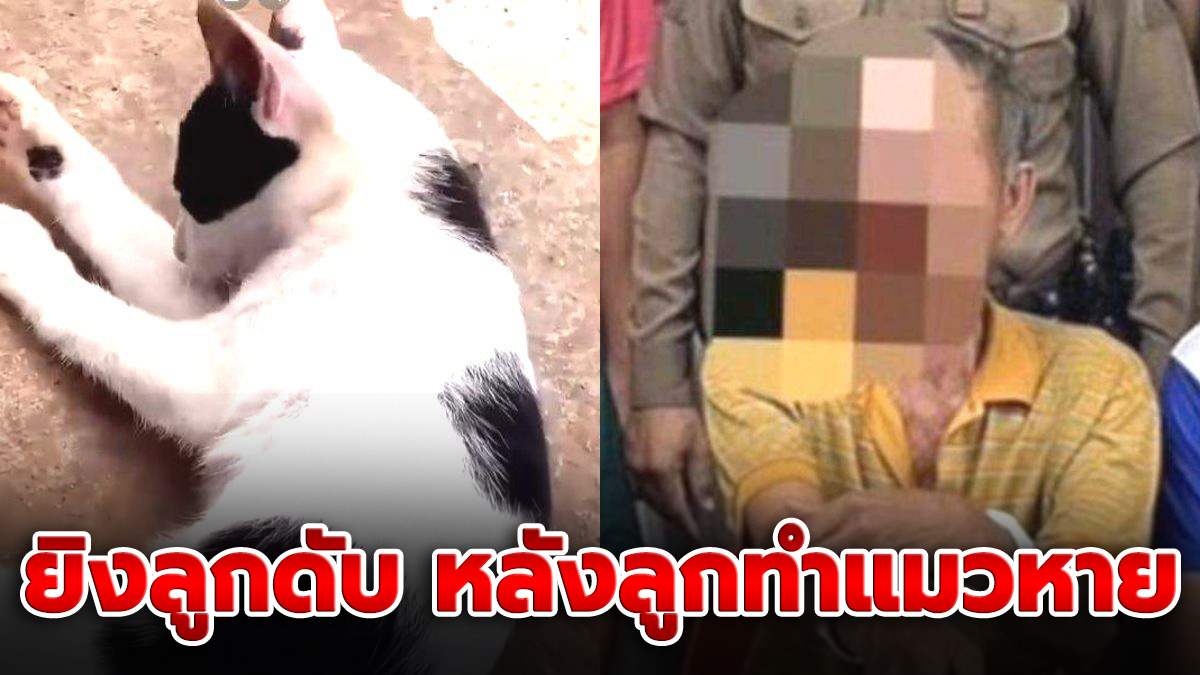 พ่อฉุนลูกชาย! หลังทำลูกแมวหาย คว้าปืนแก๊ปลั่นไก ยิงลูกดับเป็นศพคาบ้าน