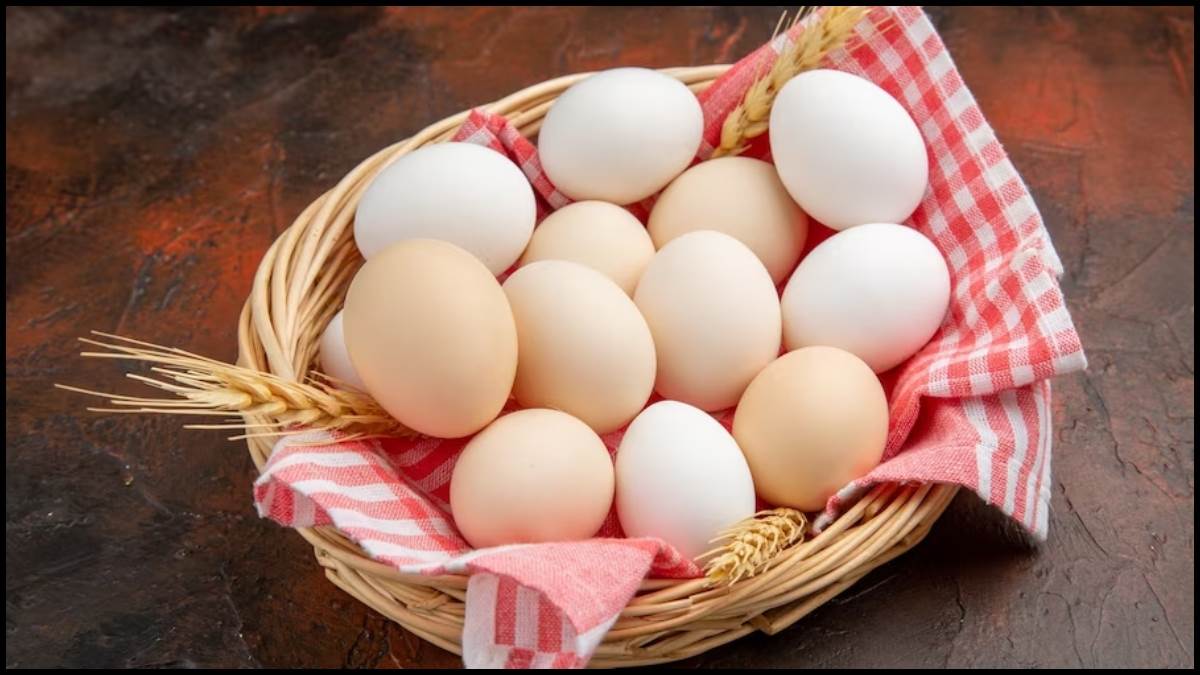 Egg: अंडे के साथ भूलकर भी न खाएं ये फूड आइटम्स, वरना पड़ सकते हैं लेने के देने – these food items should not eat with eggs know their side effects