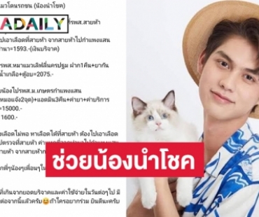 “ไบร์ท วชิรวิชญ์” บริจาคช่วยแมวโดนรถชนชื่อ“น้องนำโชค”