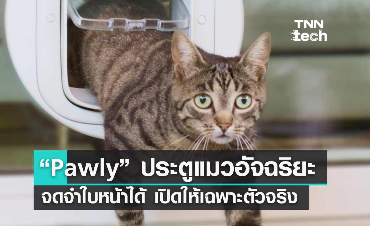 ประตูแมว “Pawly Door” ใช้เทคโนโลยีจำใบหน้าแมวป้องกันผู้บุกรุก