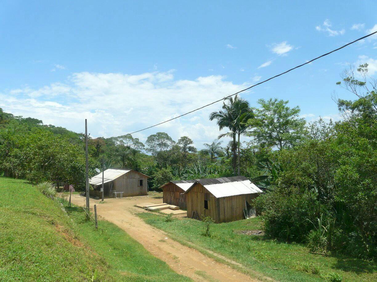 Passe um dia na aldeia Kuaray Haxa e conheça a cultura Mbyá Guarani