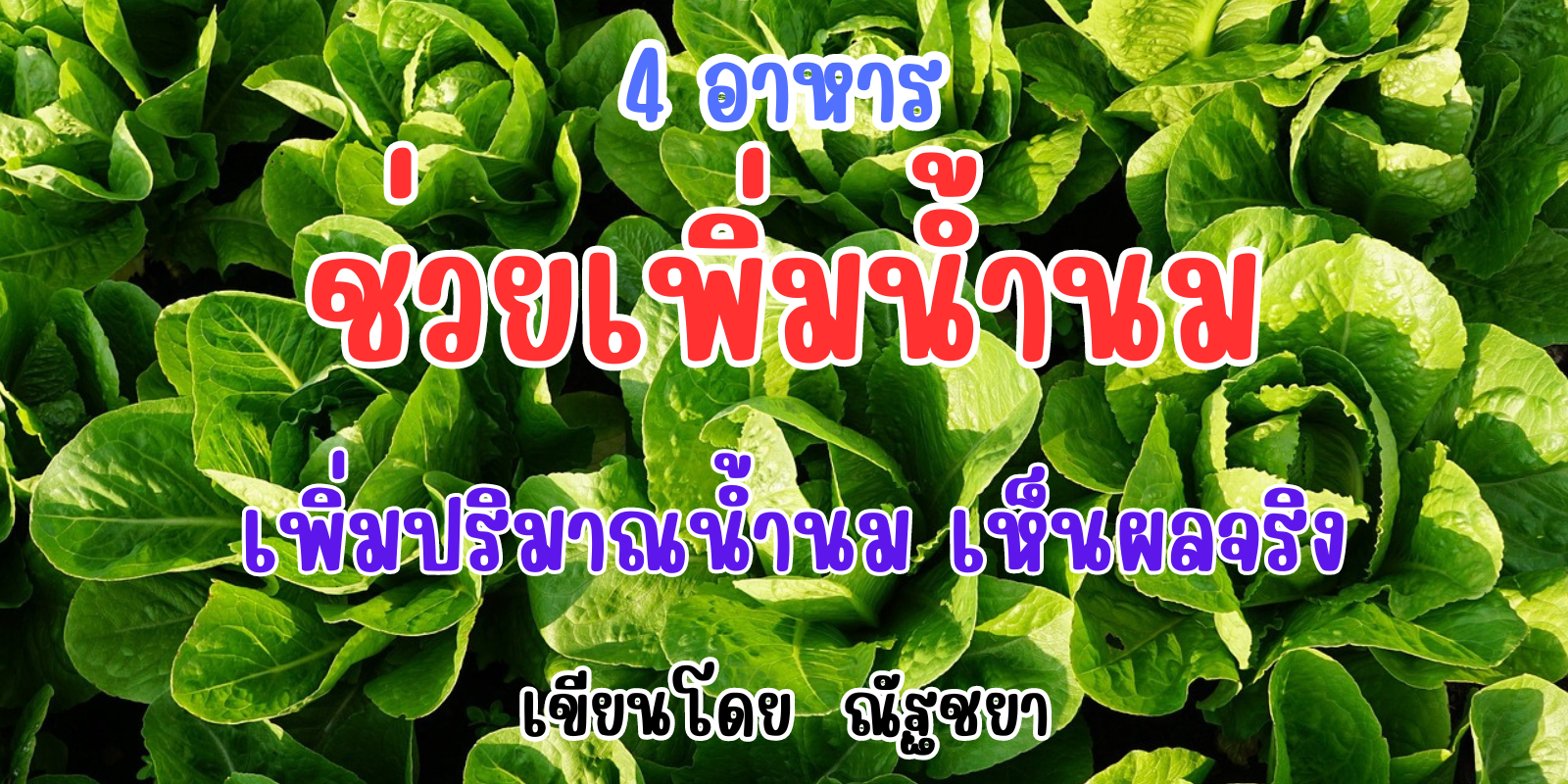 4  อาหาร ช่วยเพิ่มปริมาณน้ำนมของแม่ ทานเพื่อสุขภาพ