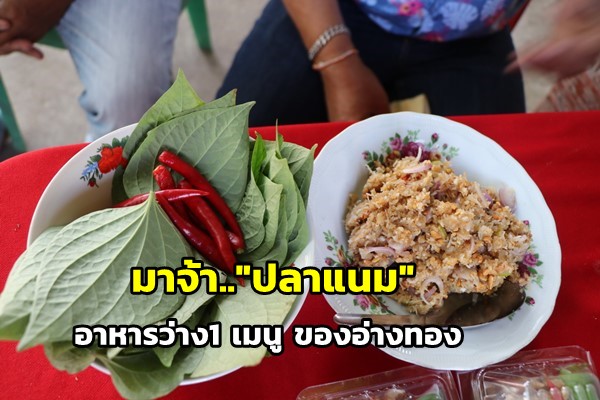 ต้องลอง “ปลาแนม” อาหารว่าง ของ จ.อ่างทอง ที่คนรุ่นอาจจะไม่เคยลอง