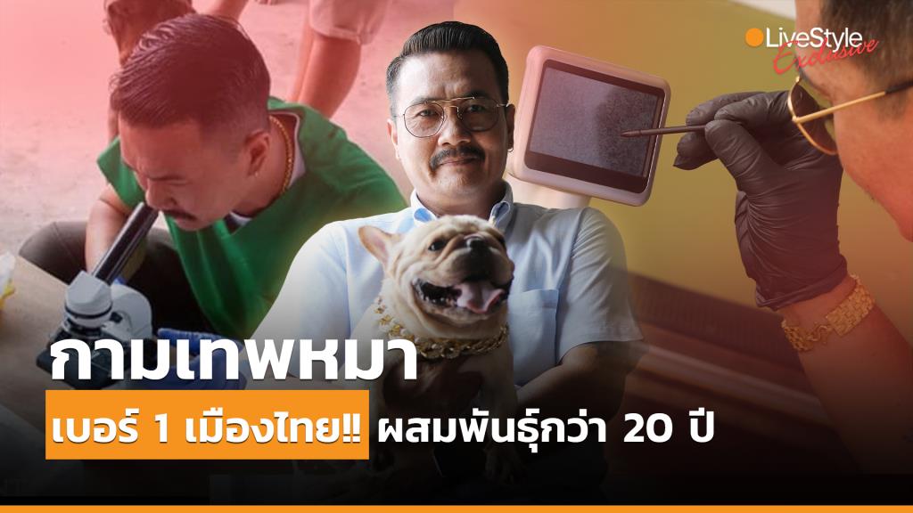 “กามเทพหมา” เบอร์ 1 เมืองไทย!! ผสมพันธุ์กว่า 20 ปี พีคสุดได้วันละหมื่น