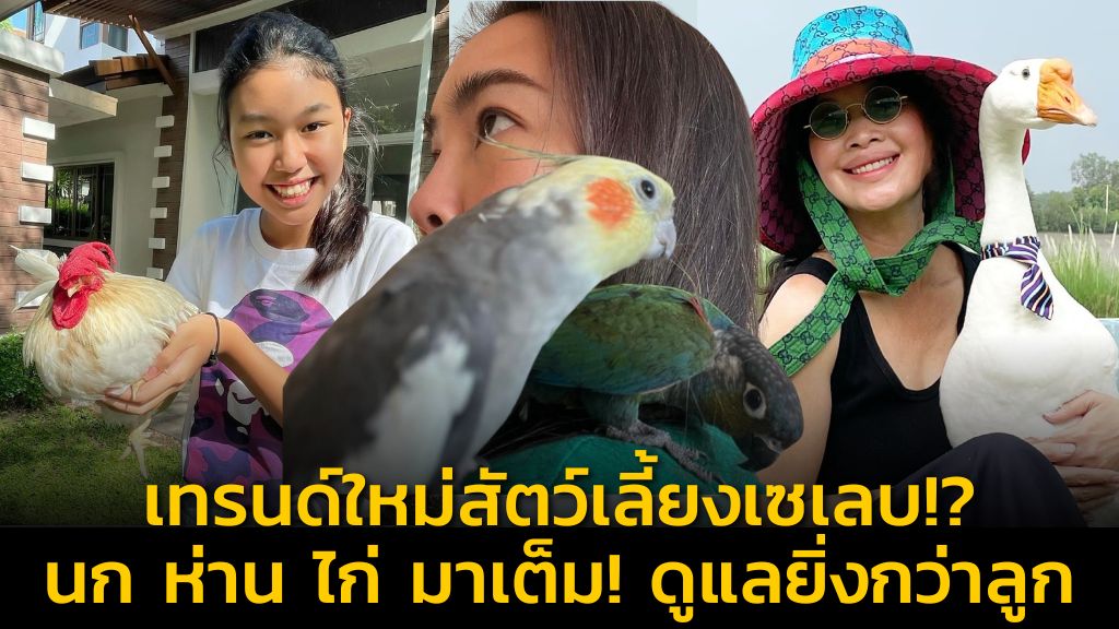 เทรนด์ใหม่สัตว์เลี้ยงเซเลบ!? นก ห่าน ไก่ มาเต็ม! ดูแลยิ่งกว่าลูก