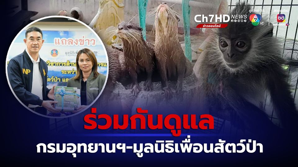 ข่าวกรมอุทยานฯ ผสาน มูลนิธิเพื่อนสัตว์ป่า ดูแลสุขภาพ-รักษาสัตว์ป่าบาดเจ็บพลัดหลง