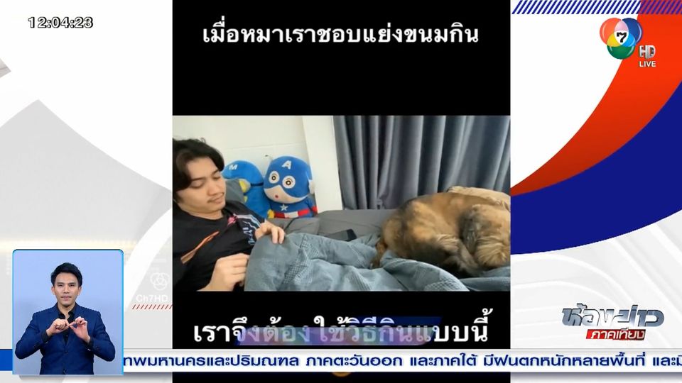ข่าวมนุษย์ต้องทำใจ ต้องแอบกินขนมให้สุนัขไม่รู้ตัว