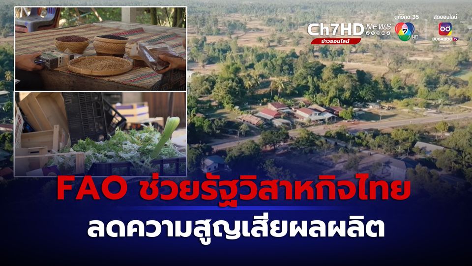 ข่าวองค์การอาหารและยายุโรป ช่วยรัฐวิสาหกิจไทยลดความสูญเสียผลผลิต