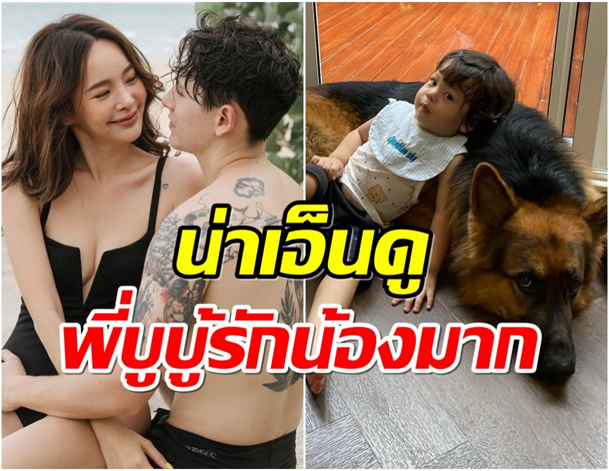 มัดรวมความน่ารัก น้องไซอัลบูล กับ พี่บูบู้ สุนัขตัวโปรด