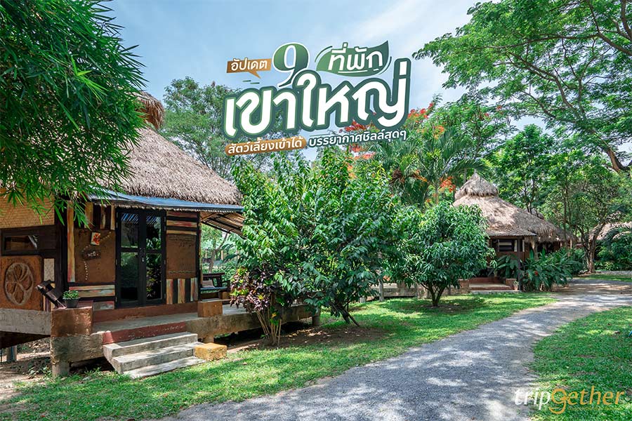 อัปเดต 9 ที่พักเขาใหญ่ สัตว์เลี้ยงเข้าได้ แถมบรรยากาศชิลล์สุดๆ