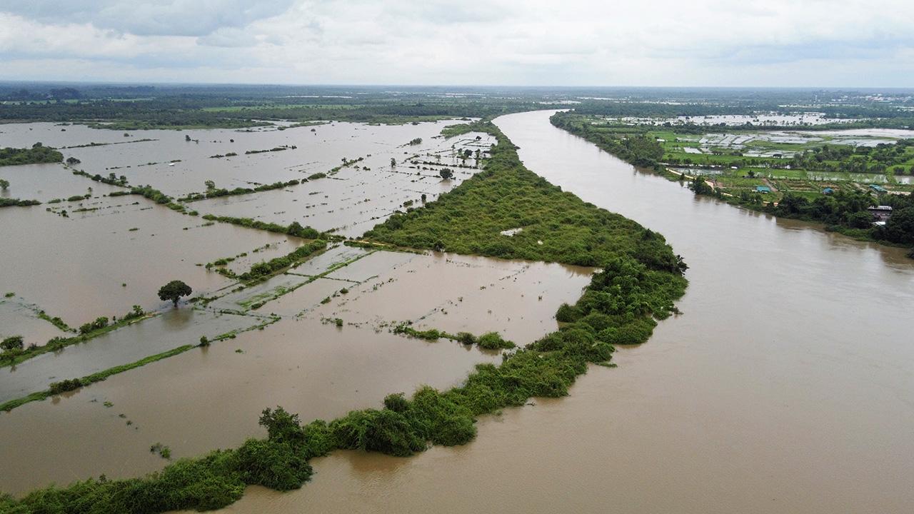 ยึดเกาะต้นไม้ 14 ชม. หนุ่มถูกน้ำป่าซัด โชคช่วยรอดตาย ไทยยังมีฝนหนัก