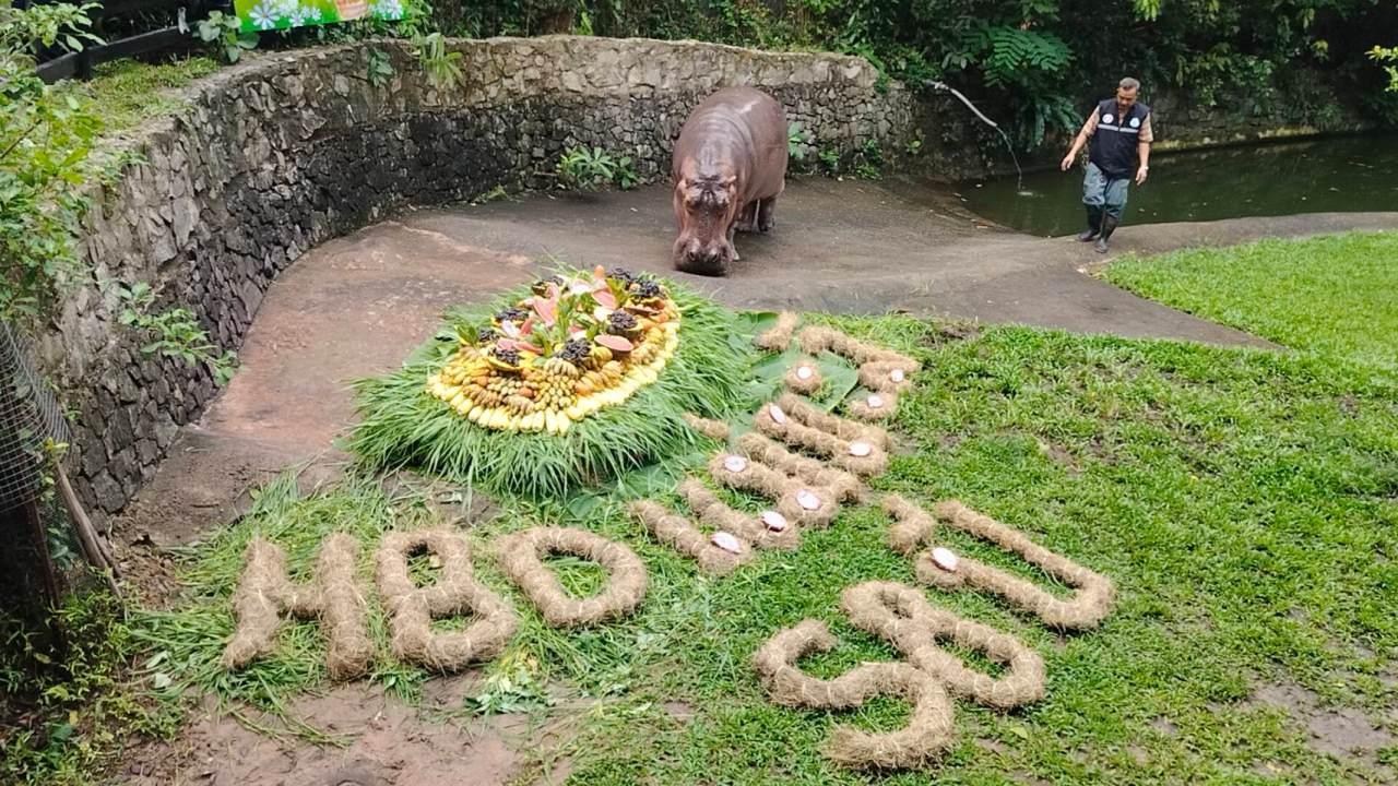 ฉลองวันเกิด “แม่มะลิ” ครบ 58 ปี “ฮิปโปโปเตมัส” ที่อายุยืนที่สุดในประเทศไทย