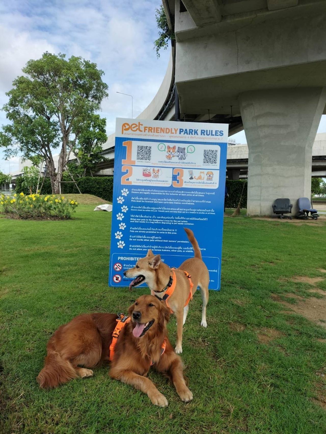เงื่อนไขพาสัตว์เลี้ยงเข้า “Pet Friendly Park” แห่งแรกของกรุงเทพฯ